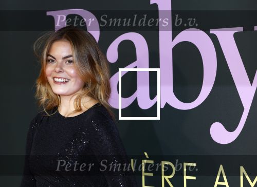 Amsterdam 25 november 2024
Premiere Babygirl in Tuschinski . Halina Reijn is de producente. Prinses Eloise kwam met Robbert Rodenburg