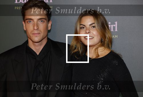Amsterdam 25 november 2024
Premiere Babygirl in Tuschinski . Halina Reijn is de producente. Prinses Eloise kwam met Robbert Rodenburg