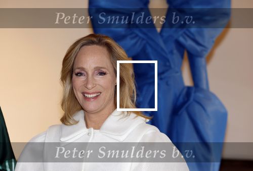 Soestdijk 20 november 2024
Prinses Margarita opent de tentoonstelling schitteren op Soestdijk . Patrick v Katwijk heeft de fotos gemaakt .