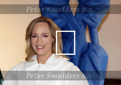 Soestdijk 20 november 2024
Prinses Margarita opent de tentoonstelling schitteren op Soestdijk . Patrick v Katwijk heeft de fotos gemaakt .