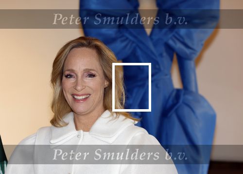 Soestdijk 20 november 2024
Prinses Margarita opent de tentoonstelling schitteren op Soestdijk . Patrick v Katwijk heeft de fotos gemaakt .