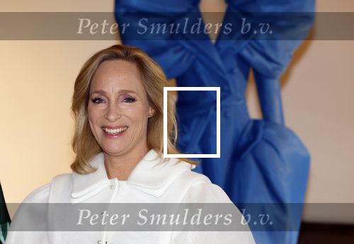 Soestdijk 20 november 2024
Prinses Margarita opent de tentoonstelling schitteren op Soestdijk . Patrick v Katwijk heeft de fotos gemaakt .