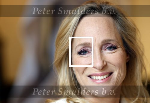 Soestdijk 20 november 2024
Prinses Margarita opent de tentoonstelling schitteren op Soestdijk . Patrick v Katwijk heeft de fotos gemaakt .