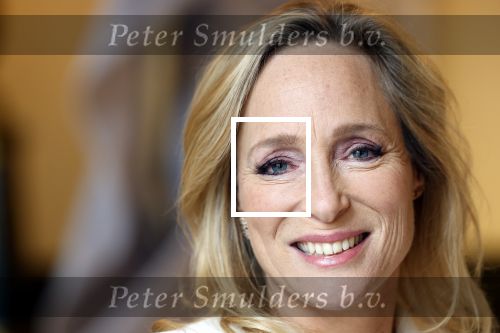 Soestdijk 20 november 2024
Prinses Margarita opent de tentoonstelling schitteren op Soestdijk . Patrick v Katwijk heeft de fotos gemaakt .