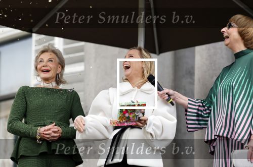 Soestdijk 20 november 2024
Prinses Margarita opent de tentoonstelling schitteren op Soestdijk . Patrick v Katwijk heeft de fotos gemaakt . Prinses Margarita  Maya Meijer-Bergmans en curator Nicole Uniquole