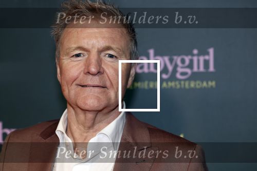 Amsterdam 25 november 2024
Premiere Babygirl in Tuschinski . Halina Reijn is de producente. Rene Mioch