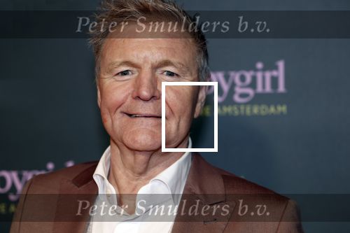 Amsterdam 25 november 2024
Premiere Babygirl in Tuschinski . Halina Reijn is de producente. Rene Mioch