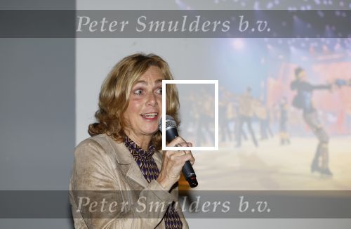 Den Haag 4 november 2024
Presentatie Holiday on ice in de uithof. Ria Visser