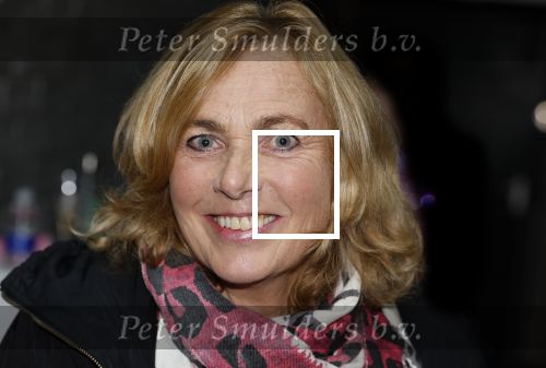 Den Haag 4 november 2024
Presentatie Holiday on ice in de uithof. Ria Visser