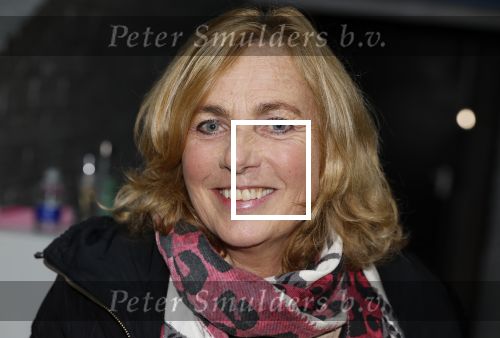 Den Haag 4 november 2024
Presentatie Holiday on ice in de uithof. Ria Visser