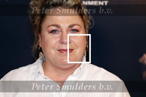 Zaandam 10 november 2024
Premiere murder on the nile in zaantheater. Rian Gerritsen