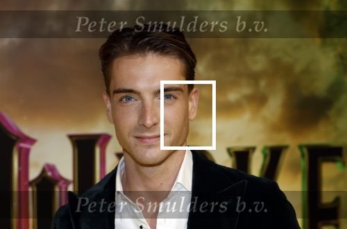 Amsterdam 3 december 2024
Premiere Wicked in Tuschinski. Robbert Rodenburg