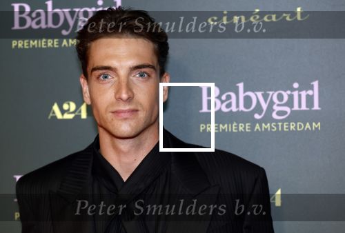 Amsterdam 25 november 2024
Premiere Babygirl in Tuschinski . Halina Reijn is de producente. Prinses Eloise kwam met Robbert Rodenburg