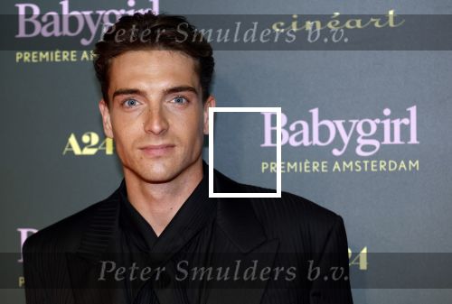 Amsterdam 25 november 2024
Premiere Babygirl in Tuschinski . Halina Reijn is de producente. Prinses Eloise kwam met Robbert Rodenburg