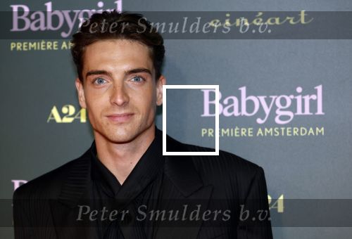 Amsterdam 25 november 2024
Premiere Babygirl in Tuschinski . Halina Reijn is de producente. Prinses Eloise kwam met Robbert Rodenburg