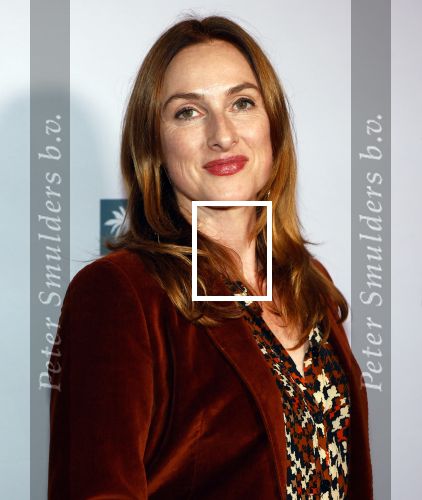 Amsterdam 24 oktober 2024
Rode loper verslag feestelijke opening
Imagine Fantastic Film Festival met de film Mr.K  van Tallulah Schwab met in de hoofdrol Crispin Glover. Ruth Becquart met partner