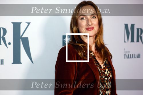 Amsterdam 24 oktober 2024
Rode loper verslag feestelijke opening
Imagine Fantastic Film Festival met de film Mr.K  van Tallulah Schwab met in de hoofdrol Crispin Glover. Ruth Becquart met partner