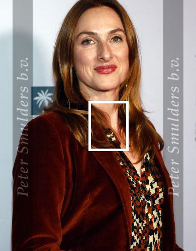 Amsterdam 24 oktober 2024
Rode loper verslag feestelijke opening
Imagine Fantastic Film Festival met de film Mr.K  van Tallulah Schwab met in de hoofdrol Crispin Glover. Ruth Becquart met partner