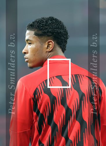 Eindhoven, 5 November 2024
Europacup 1 PSV-Girona, eindstand 4-0
Ryan Flamingo