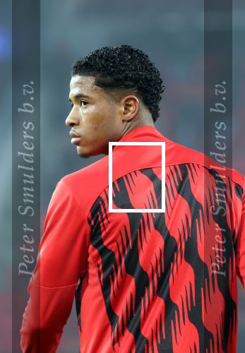 Eindhoven, 5 November 2024
Europacup 1 PSV-Girona, eindstand 4-0
Ryan Flamingo