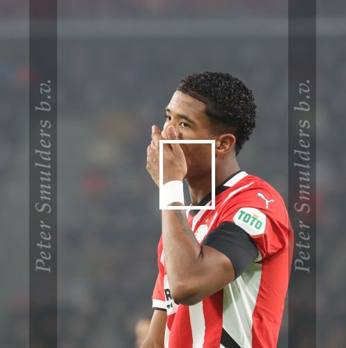 Eindhoven, 5 November 2024
Europacup 1 PSV-Girona, eindstand 4-0
Ryan Flamingo