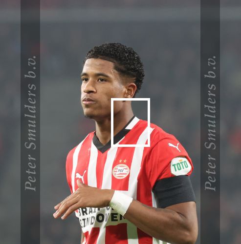 Eindhoven, 5 November 2024
Europacup 1 PSV-Girona, eindstand 4-0
Ryan Flamingo