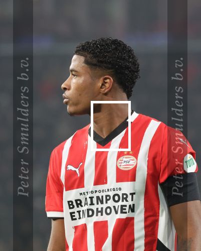 Eindhoven, 5 November 2024
Europacup 1 PSV-Girona, eindstand 4-0
Ryan Flamingo