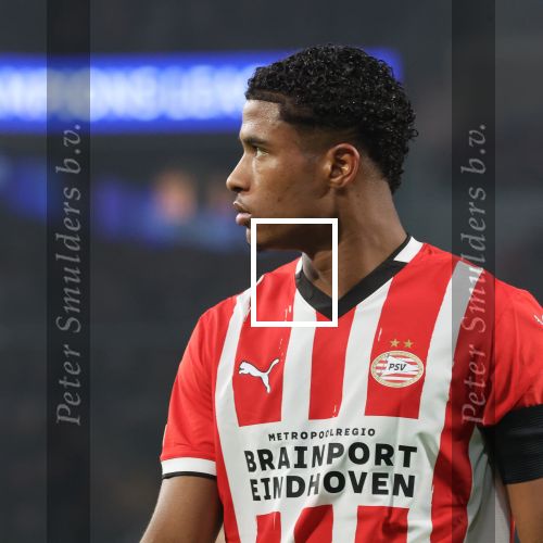 Eindhoven, 5 November 2024
Europacup 1 PSV-Girona, eindstand 4-0
Ryan Flamingo