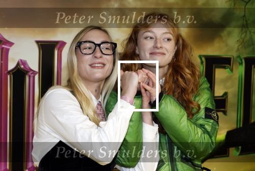 Amsterdam 3 december 2024
Premiere Wicked in Tuschinski. S10 Stein den Hollander en Froukje
