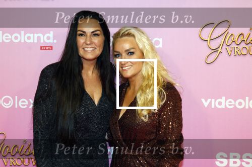 Amsterdam 22 oktober 2024
Premiere Gooische vrouwen in het DeLaMar theater. samantha Steenwijk met partner