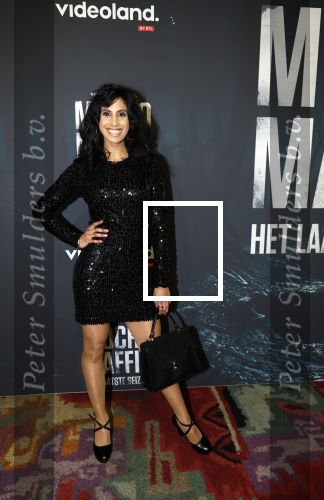 Amsterdam 5 november 2024
Premiere Videoland van  Mocro mafia in Tuschinski. Shalini Audhoe