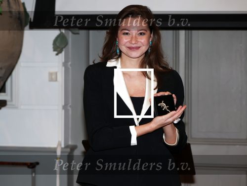 Doorn 16 november 2024
Presentatie cd Box van Anneke Gronloh. Sharifa Smith gaat Anneke Gronloh spelen in de musical over leven Rob de Nijs