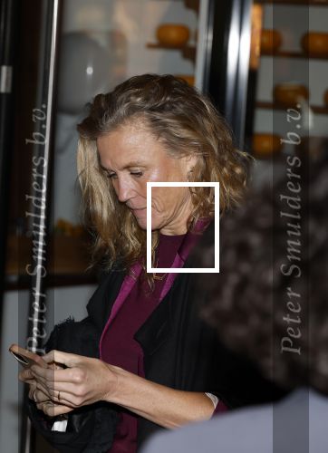 Amsterdam 25 november 2024
Premiere Babygirl in Tuschinski . Halina Reijn is de producente. Sophie Hilbrand