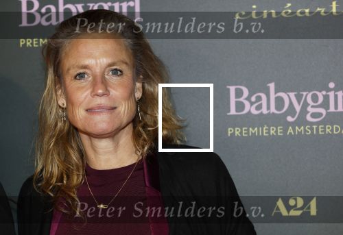 Amsterdam 25 november 2024
Premiere Babygirl in Tuschinski . Halina Reijn is de producente. Sophie Hilbrand
