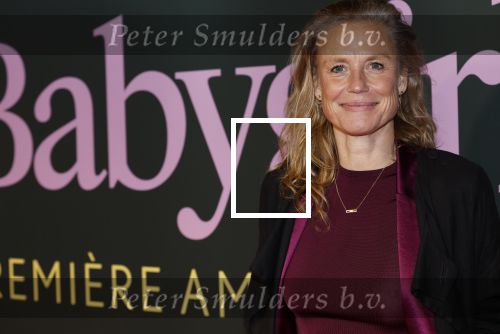 Amsterdam 25 november 2024
Premiere Babygirl in Tuschinski . Halina Reijn is de producente. Sophie Hilbrand