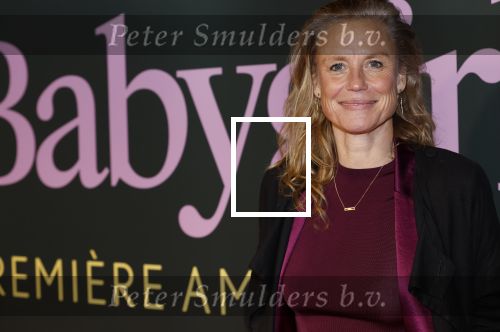 Amsterdam 25 november 2024
Premiere Babygirl in Tuschinski . Halina Reijn is de producente. Sophie Hilbrand