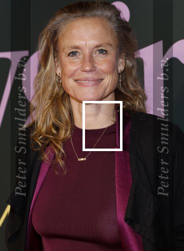 Amsterdam 25 november 2024
Premiere Babygirl in Tuschinski . Halina Reijn is de producente. Sophie Hilbrand