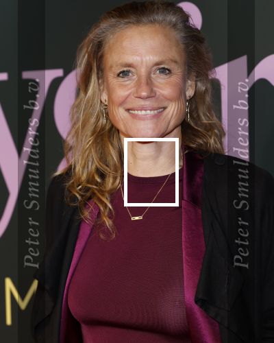Amsterdam 25 november 2024
Premiere Babygirl in Tuschinski . Halina Reijn is de producente. Sophie Hilbrand