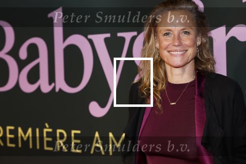 Amsterdam 25 november 2024
Premiere Babygirl in Tuschinski . Halina Reijn is de producente. Sophie Hilbrand