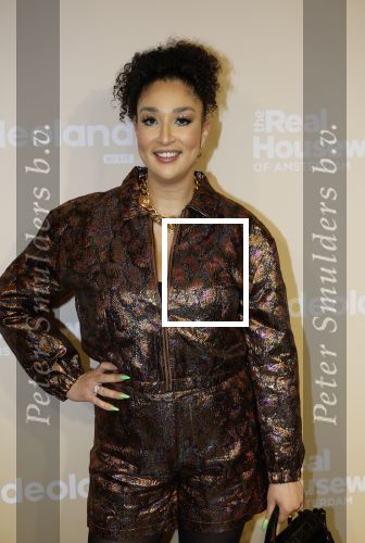 Amsterdam 25 november 2024
Presentatie nieuwe seizoen real housewives of Amsterdam in het Amstel hotel  met oa Maria Tailor Tamara Elbaz Kimmylien nguyen Cherry Ann Person Angela v d Brink Djamila Celina en Deborah Luijendijk. Soundos en Sjaak