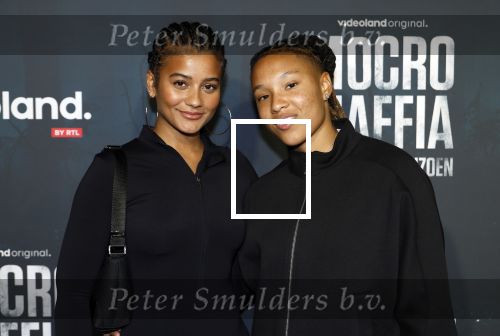 Amsterdam 5 november 2024
Premiere Videoland van  Mocro mafia in Tuschinski. Romee Polanen en Stephanie v Eer