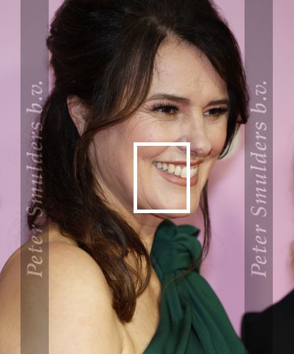 Amsterdam 22 oktober 2024
Premiere Gooische vrouwen in het DeLaMar theater. Susan Visser