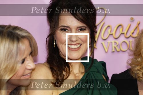 Amsterdam 22 oktober 2024
Premiere Gooische vrouwen in het DeLaMar theater. Susan Visser