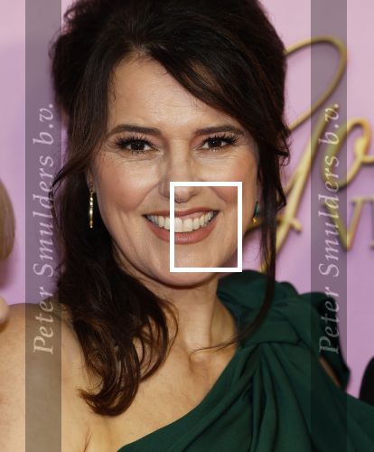 Amsterdam 22 oktober 2024
Premiere Gooische vrouwen in het DeLaMar theater. Susan Visser