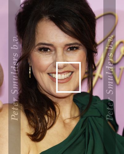 Amsterdam 22 oktober 2024
Premiere Gooische vrouwen in het DeLaMar theater. Susan Visser