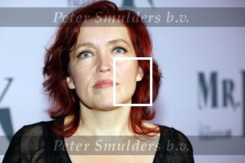 Amsterdam 24 oktober 2024
Rode loper verslag feestelijke opening
Imagine Fantastic Film Festival met de film Mr.K  van Tallulah Schwab met in de hoofdrol Crispin Glover.