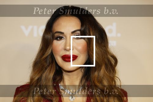 Amsterdam 25 november 2024
Presentatie nieuwe seizoen real housewives of Amsterdam in het Amstel hotel  met oa Maria Tailor Tamara Elbaz Kimmylien nguyen Cherry Ann Person Angela v d Brink Djamila Celina en Deborah Luijendijk.