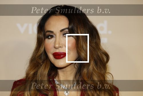 Amsterdam 25 november 2024
Presentatie nieuwe seizoen real housewives of Amsterdam in het Amstel hotel  met oa Maria Tailor Tamara Elbaz Kimmylien nguyen Cherry Ann Person Angela v d Brink Djamila Celina en Deborah Luijendijk.