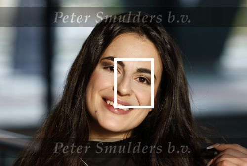 Hilversum 21 november 2024
Presentatie NPO Radio bij beeld en geluid . Tannaz Hajeby