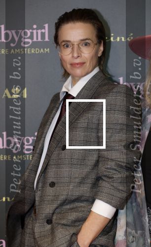 Amsterdam 25 november 2024
Premiere Babygirl in Tuschinski . Halina Reijn is de producente. Thekla Reuten kwam met Tommy Driessen